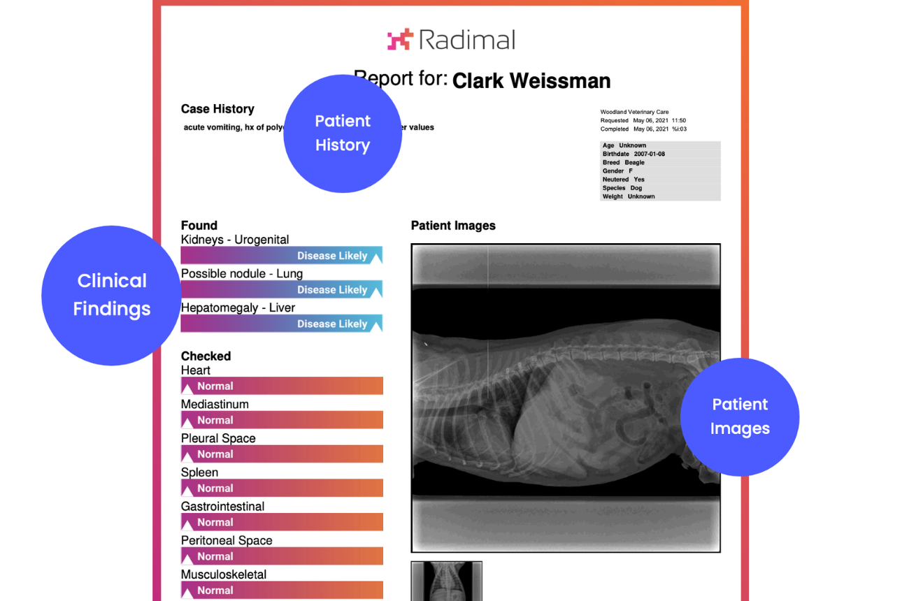 sample Radimal report
